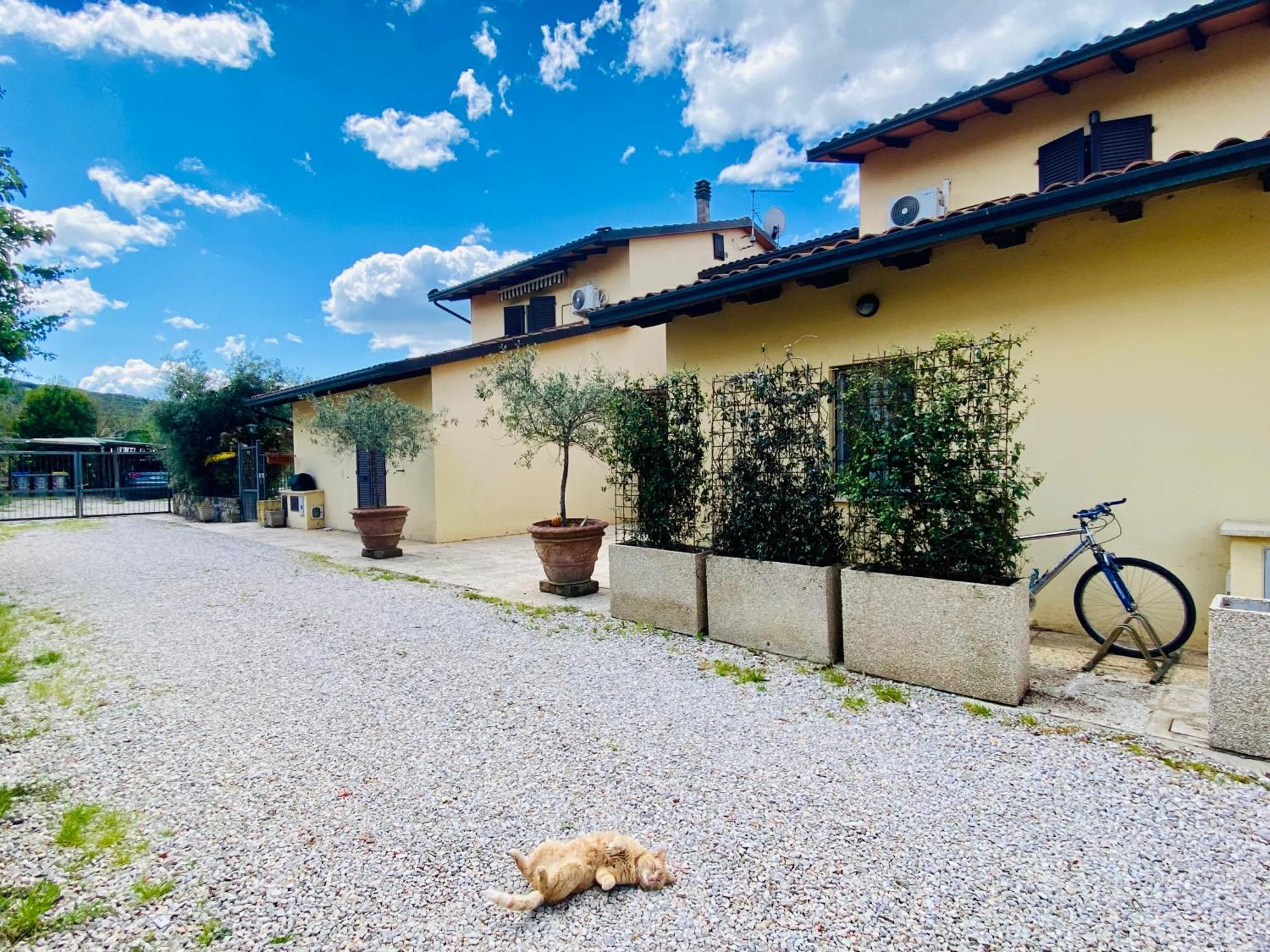 Casa Vacanze Barbara SantʼArcangelo Exteriör bild